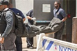 Jeffrey Epstein's body pictured being wheeled into a NYC hospital ...