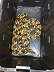 Super Dwarf Reticulated Python by Shaw Reptiles - MorphMarket