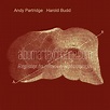 Album Art Exchange - Through the Hill (2003 Edition) by Andy Partridge ...