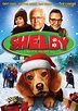 DVD Review: ‘Shelby: A Magical Holiday Tail’! - Boomstick Comics