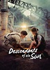 Descendants of the Sun (TV Series 2016-2016) - Posters — The Movie ...
