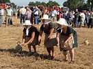 CLICK TRADICIONES. Vida en el campo