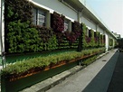 威明谷GreenWall【創新的模組化綠牆】立體植栽牆(植生牆.花牆.綠圍籬): 【綠牆案例】支架式綠牆模組