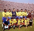 Seleção campeã mundial de 1962. | Seleção brasileira, Seleção ...