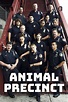 Animal Precinct - Rotten Tomatoes