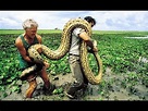 2 Man VS Giant Anaconda [HD] - YouTube