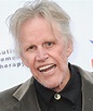 Gary Busey net worth, son, career, accident, movies, teeth, now - Briefly.co.za