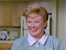 Hazel (1961)