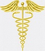 Staff of Hermes Caduceus as a symbol of medicine Caduceus as a symbol ...