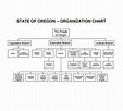 Non-profit Organization Hierarchy Chart