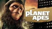 Conquest of the Planet of the Apes (1972) - HBO Max | Flixable