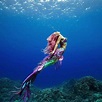 Lista 98+ Foto Imagenes De Sirenas Reales Encontradas Vivas En El Mar ...