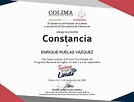 Constancia Constancia - www.vrogue.co