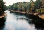 Exploring the Nature of Florida: Suwannee River State Park