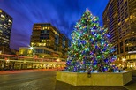 Download City Light Christmas Tree Holiday Christmas HD Wallpaper by ...