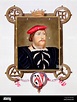 Thomas Boleyn, Conde de Wiltshire, estilo Tudor Inglés diplomático y ...