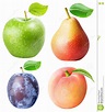 Set from Apple, Pear, Plum Peach Isolated on White Background Stock ...