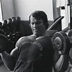 2048x2048 Resolution Arnold Schwarzenegger In Gym Photos Ipad Air ...
