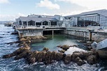 Monterey Bay Aquarium: One of the Best Aquariums in the World ...