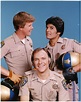 chips tv show - Google Search | Childhood tv shows, Classic television ...