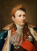 Napoleon Bonaparte Como Llego A Ser Emperador De Francia ...