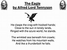 PPT - The Eagle by Alfred Lord Tennyson PowerPoint Presentation - ID:972764