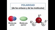 Moleculas polares y apolares ejemplos