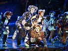 Musical “Cats” feierte Premiere im Wiener Ronacher - Kultur - VIENNA.AT