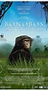 Bonobos: Back to the Wild (2015) - IMDb