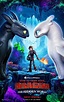 How to Train Your Dragon 3 Poster Has Toothless Finding Love | Collider