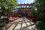 Fullerton Arboretum, facing loss of city funds, looks for ways to ...