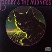 Bobby & the Midnites - Bob Weir | Songs, Reviews, Credits | AllMusic