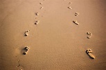 Footprints - International Christian College and Seminary