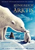 Königreich Arktis: DVD oder Blu-ray leihen - VIDEOBUSTER