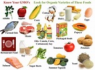 Warning! GMO-Free Foods Contain Glyphosate | Jane's Healthy Kitchen