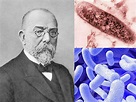 24 Mars 1882 – Robert Koch a découvert le germe de la tuberculose ...