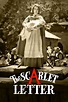 The Scarlet Letter (1934) - Posters — The Movie Database (TMDB)