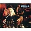 Gremlins (1984) | Gremlins, Steven spielberg, Spielberg