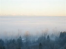File:December Fog 01.jpg