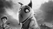 Things Only Adults Notice In Frankenweenie