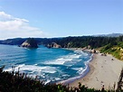 Of Trinidad State Beach from Trinidad Head. | Redwood national and ...