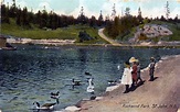 Postcard of Rockwood Park, St. John, New Brunswick