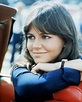 Sally Field Smokey and the Bandit Posters and Photos 288423 | Movie Stor