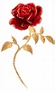 Beauty And The Beast Rose - PNG All | PNG All