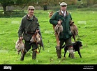 Pheasant shooting in Wiltshire, UK Stock Photo, Royalty Free Image ...