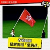 香港區旗點解要用「紫荊花」 | 史檔 | SHIFILES
