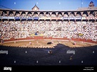 Inside Plaza de Toros Monumental de Barcelona bullring, bullfighting in ...