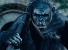 DAWN OF THE PLANET OF THE APES: Monsters and Persons | Norville Rogers