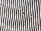 September 11: Truth behind famous Falling Man from 9/11 | The Mercury