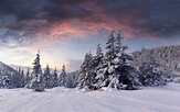 Schnee, Sonnenaufgang, Wolken, Winter, Bäume, Wald 2560x1600 HD ...